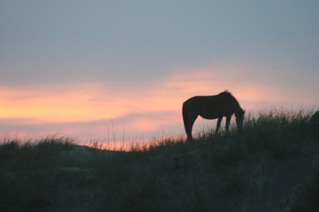 Obx Family Home With Pool - Pet Friendly - Close To Beach- Pool Open Late Apr Through Oct Corolla Exteriör bild